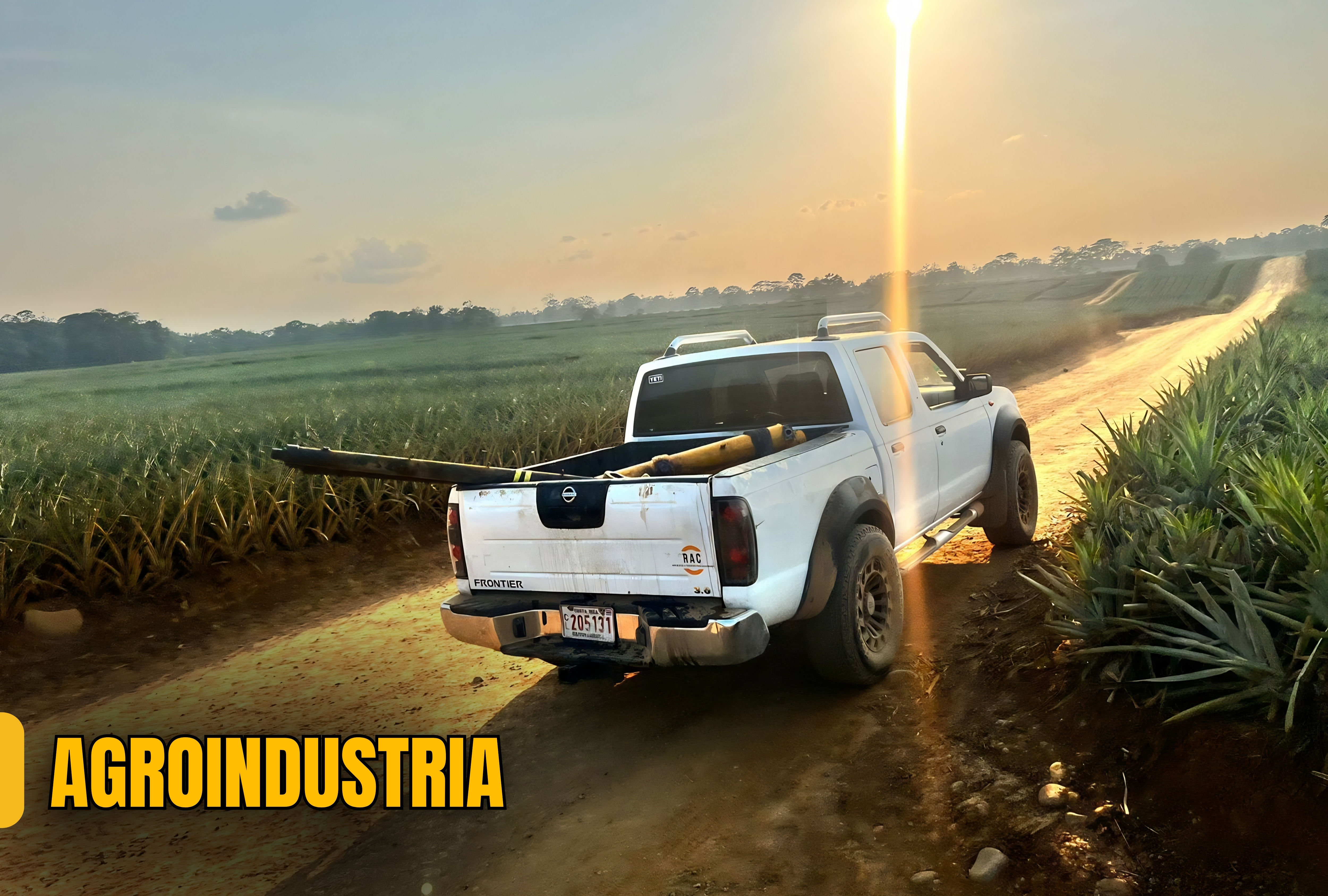 Sector Agroindustrial